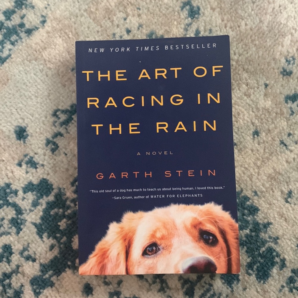 The Art of Racing in the Rain